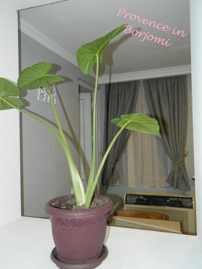 Nikas Guest House Borjomi Esterno foto